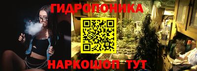 ПСИЛОЦИБИНОВЫЕ ГРИБЫ Вышний Волочёк