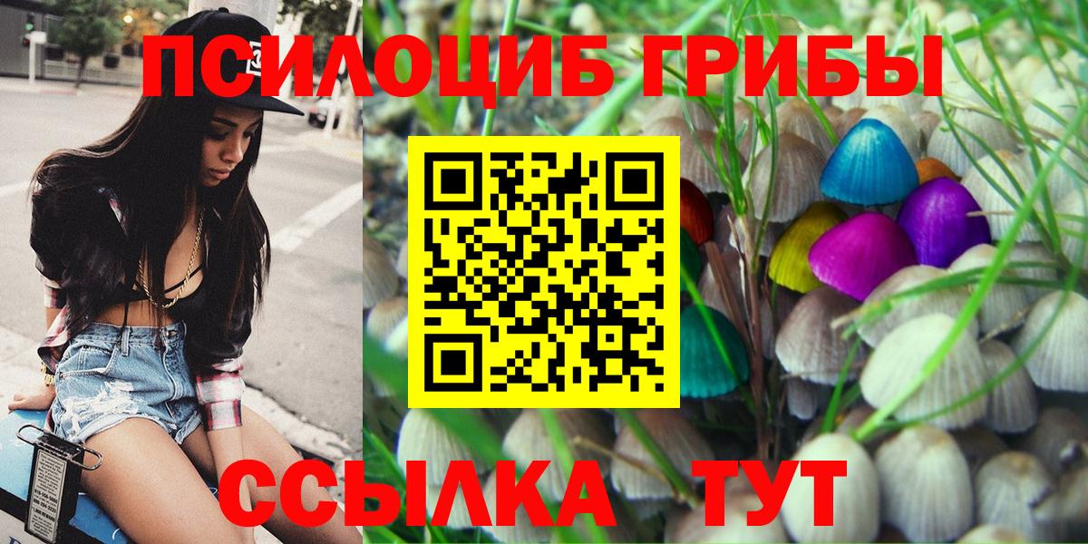 Галлюциногенные грибы GOLDEN TEACHER  Вход с VPN  Галлюциногенные грибы Cubensis  где купить наркоту  Артёмовский 